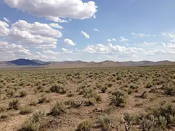 Sagebrush steppe in northeastern Nevada along US 93