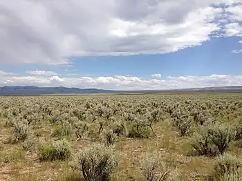 Sagebrush-Steppe in south-central Idaho along Three Creek Road