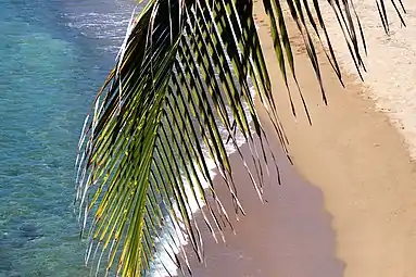 Domes Beach view from the Rincón lighthouse