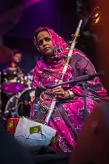 Noura Mint Seymali playing the ardin.