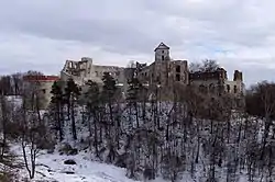 Tenczyn Castle