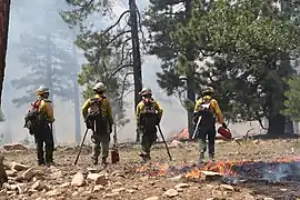 Fire crew monitor burning operations off Route 7 on July 2