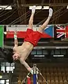 Gymnasts from Germany training on the horizontal bar