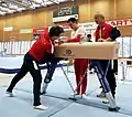 Setup of the pommel horse by Team Austria