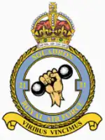 23 Squadron badge