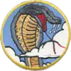 39th Fighter Interceptor Squadron