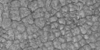 Close-up of high center polygons seen by HiRISE under HiWish program Troughs between polygons are easily visible in this view.  Location is Ismenius Lacus quadrangle.