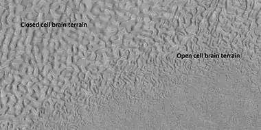 Open and closed brain terrain with labels, as seen by HiRISE under HiWish program Image location is Ismenius Lacus quadrangle.