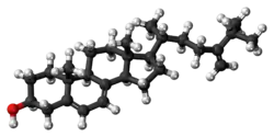 Ball-and-stick model of 5-dehydroepisterol