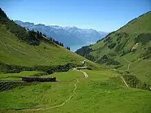 Steam train (Brienzer Rothorn Bahn) on the Planalp near Mittler Stafel