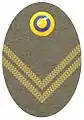 Hat badge (Mössmärke m/1940) for a lieutenant in the army