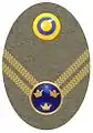 Hat badge (Mössmärke m/1946) for a lieutenant in the army