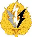 6th Psychological Operations Battalion"Veritas Vos Liberabit" (The Truth Will Set You Free)