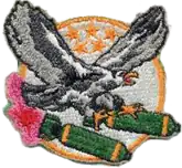 764th Bombardment Squadron, Tactical patch