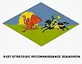 91st Strategic Reconnaissance Squadron