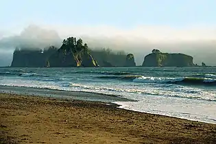 Foggy sea stacks