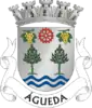 Coat of arms of Águeda