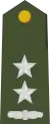 Toger(Albanian Army)