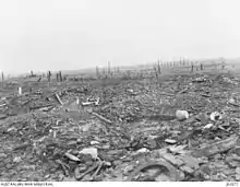 a black and white landscape of tree stumps with building materials lying on the ground