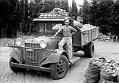 REO truck filled with citrus fruit, Kfar Saba, Israel, 1932