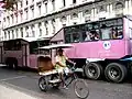 A camel and a taxi rickshaw in Havana, 2005