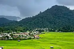 A hill covered with forest, a village and rice paddies