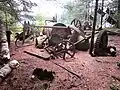 The rusted gears and body of this ancient logging tool lie on a piney forest floor.  The parts are strewn about, long abandoned on this remote island.