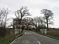 East Anglian elms (all the trees here), Abbots Ripton, Huntingdonshire (2011)