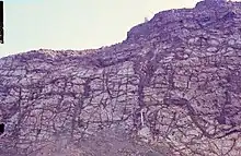 This rock wall shows dark veins of mobilized and precipitated iron within kaolinized basalt in Hungen, Vogelsberg area, Germany.