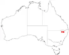 "Acacia atrox" occurrence data from Australasian Virtual Herbarium