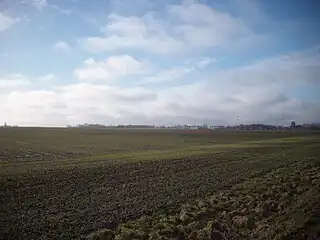 Farmland near Gutenswegen, Niedere Börde