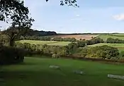 Across Patchill Plantation, looking across the top of the wood and the valley.