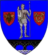 Coat of arms of Caraș-Severin County