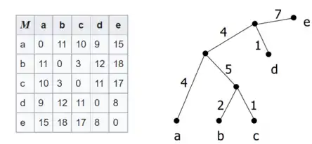 Additive distance matrix (left) and its phylogeny tree (right)