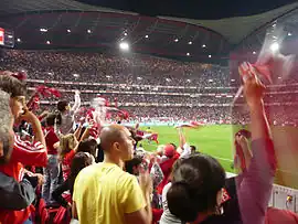 Men and women, including children, wave their scarves on a side stand close to the pitch.