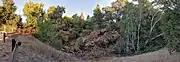 At the Los Altos–Palo Alto bike path along the Hetch Hetchy Aqueduct, with a fallen tree