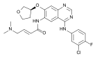 Afatinib for treatment of cancers resistant to gefinitib and erlotinib.