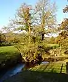 Afon Cain south of Llanfechain