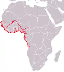 Map of Africa showing highlighted range along the western coast from Mali south to Angola and in portions of river systems