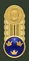 Clasp (agrafe) for a general of any rank(?–2002)