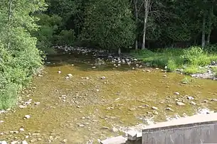 The Ahnapee River below the dam at Forestville