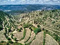 The view from Ora to  Hadassah Medical Center. The al-Jura village was mainly on the right spur of the valley