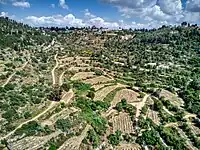 Ora and below of it the Ein Sarig valley