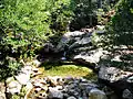 Cuccagna stream in the forest of Valdu Niellu