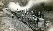 No.1 'Albion' hauling a long string of 'bob cars' (disconnected trucks) and a load of narrow gauge ties (sleepers)