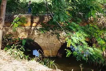 Bridge and track for the train going to Coloso Sugarmill in Aguada