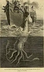 #18 (30/11/1861)This much-reproduced image appeared in Louis Figuier's La vie et les mœurs des animaux (Figuier, 1866:467, fig. 362; shown here) and Henry Lee's Sea Monsters Unmasked (Lee, 1883:39, fig. 8), among others, but Muntz (1995:21) wrote that its original source was uncertain.