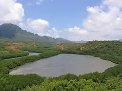 Menehune Fishpond