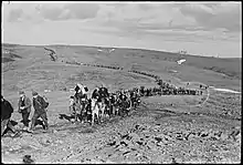 a black and white photograph of a column of uniformed men and horses