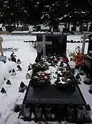 Aleksander Szczygło tomb (2011)